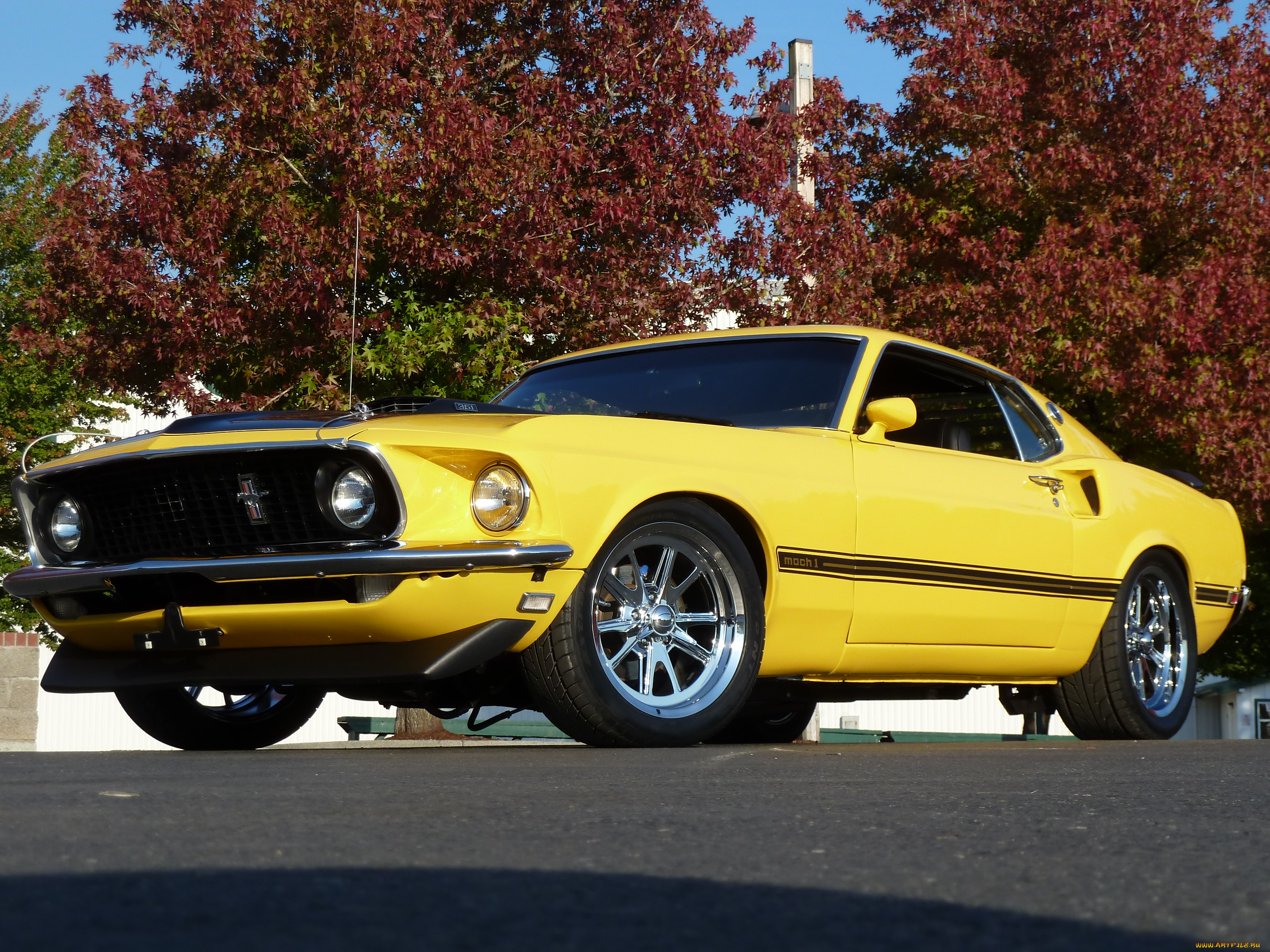1969 mach 1, , mustang